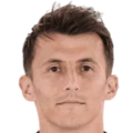 A. Budimir