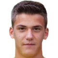 F. Stankovic