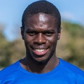 M. Ngom