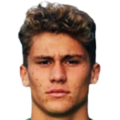 Stefano Piccinini