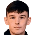 L. Mullan