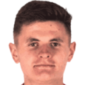 K. Dziedzic