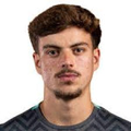 José Ribeiro