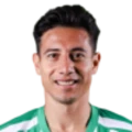 Ó. Ruiz Roa