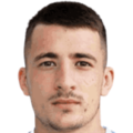 D. Mitrović
