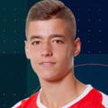 I. Brajić
