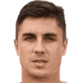 N. Nikolić