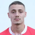 N. Glišić