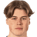L. Mattsson
