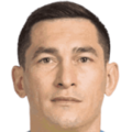 Taras Stepanenko