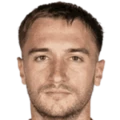 D. Mihailovic