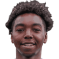 Ernest Mitchell