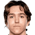 T. Silva