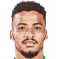 Rivaldo Coetzee