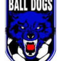 Ball Dogs