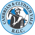 Cambrian & Clydach thuộc giải Welsh Cup (WLS) (Wales)