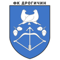 Drogichin