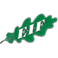EIF Akademi thuộc giải Finland Cup (Phần Lan)