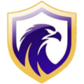 Falcon U20