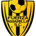 Fuerza Amarilla