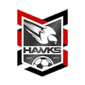 Holland Park Hawks