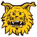  Ilves II thuộc giải Finland Cup 