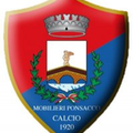 Mobilieri Ponsacco