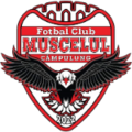  Muscelul Câmpulung Elite thuộc giải Liga 2 (ROM) 