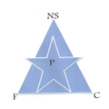 New Star