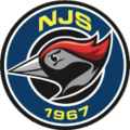 NJS thuộc giải Finland Cup (Phần Lan)