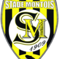 Stade Montois