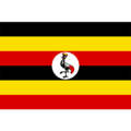  Uganda U17 thuộc giải World Cup U17  (Quốc tế)