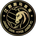 Yichun Grand Tiger thuộc giải FA Cup (CHN) (Trung Quốc)