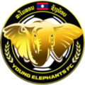 Young Elephant